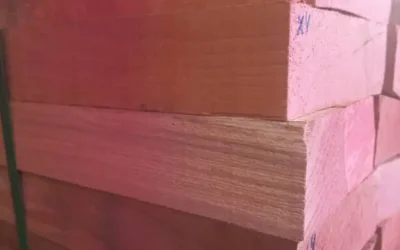 جزئیات کامل گونه‌های چوب راش | مقایسه راش ایرانی، اروپایی، گرجستان و ترکیه + قیمت ۱۴۰۵