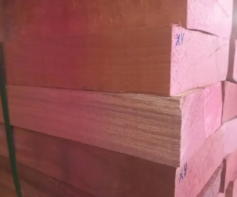 گونه‌های چوب راش